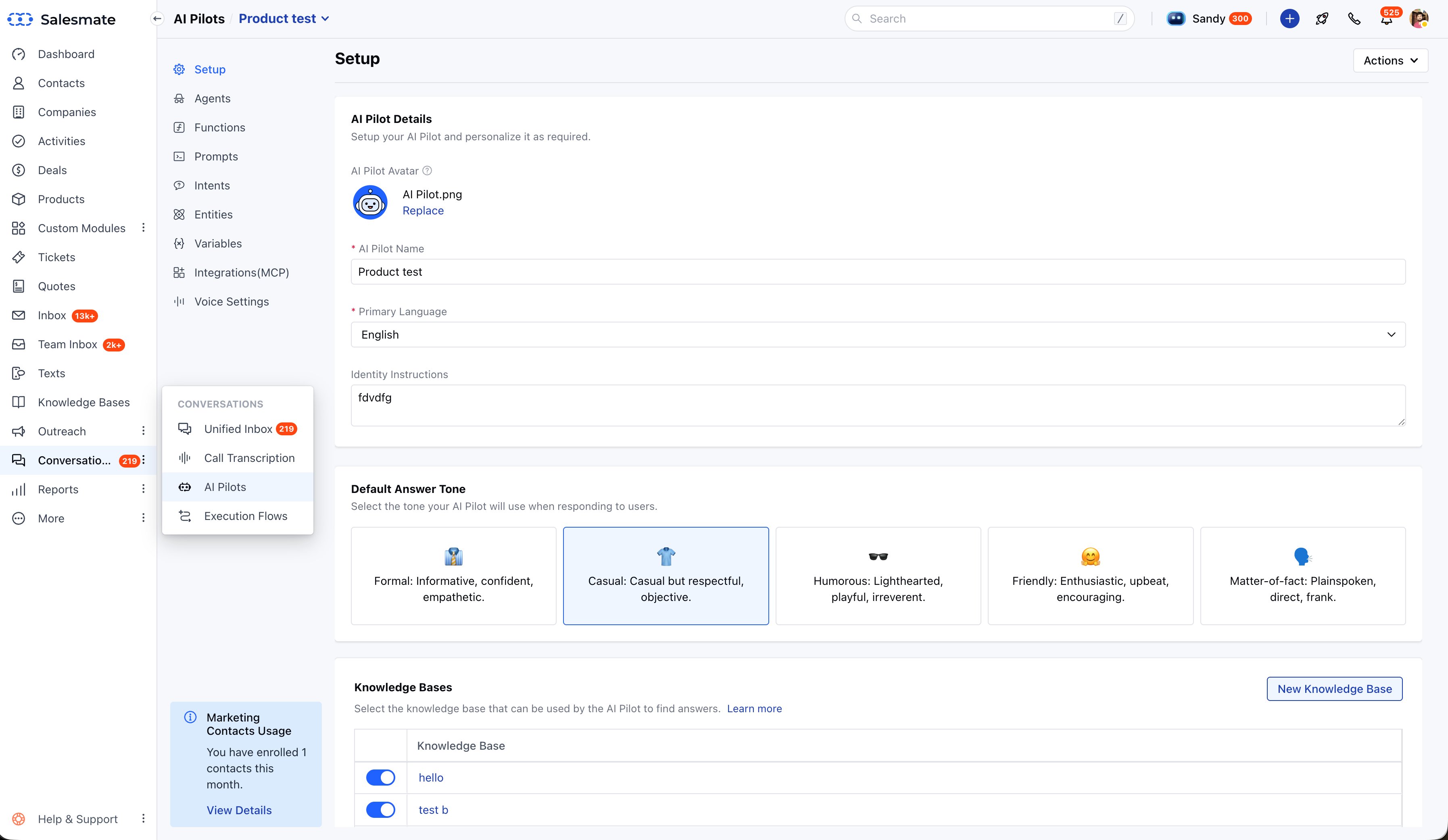 AI Pilots - Setup · Name, language, identity instructions, and tone selector